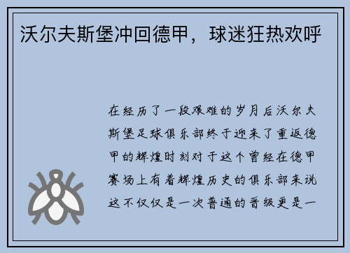 沃尔夫斯堡冲回德甲，球迷狂热欢呼